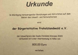 Urkunde Umweltpreis